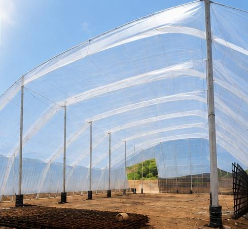 Estructura agrícola con cubierta transparente